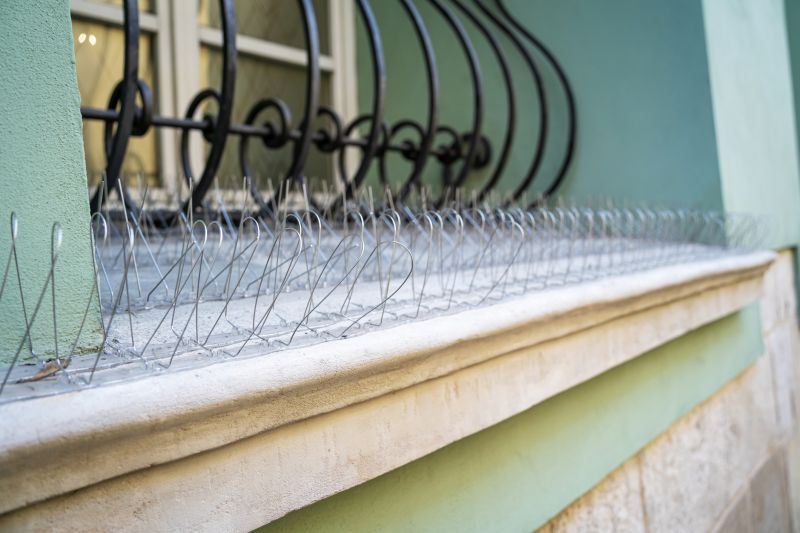 Bird Prevention Installation