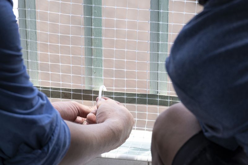 Bird Netting on Commercial Building