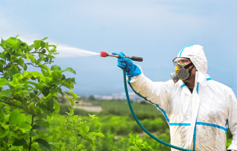 Fumigation Service in Cumming, GA
