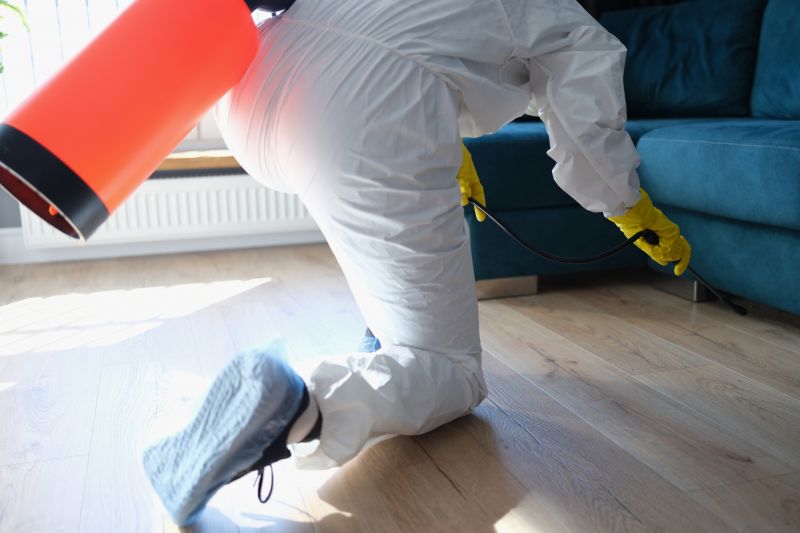 Spider Fumigation Service in Oklahoma City, OK