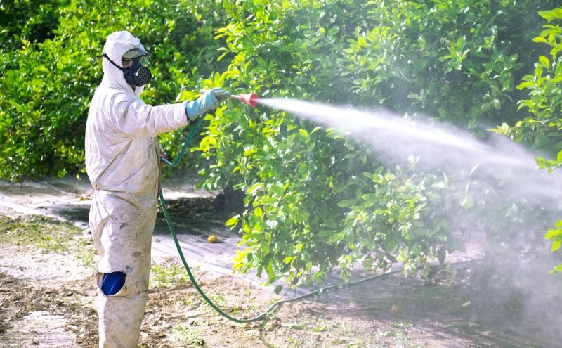 Commercial Fumigation in Tampa, FL