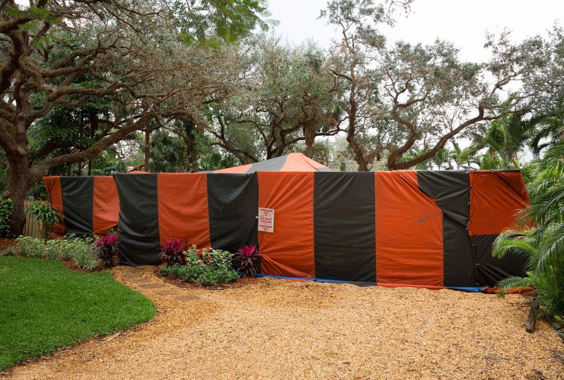 Termite Tenting in Naperville, IL